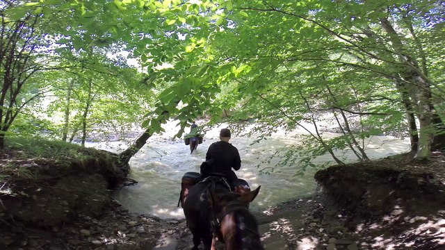 Конные туры Адыгеи (Тур база Победа и Тур приют Пятигорская поляна ) horseback riding tours of Adygea