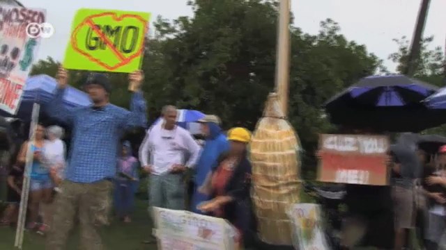 Aufstand auf Hawaii - Angst vor den Pflanzen aus dem Genlabor | Global 3000