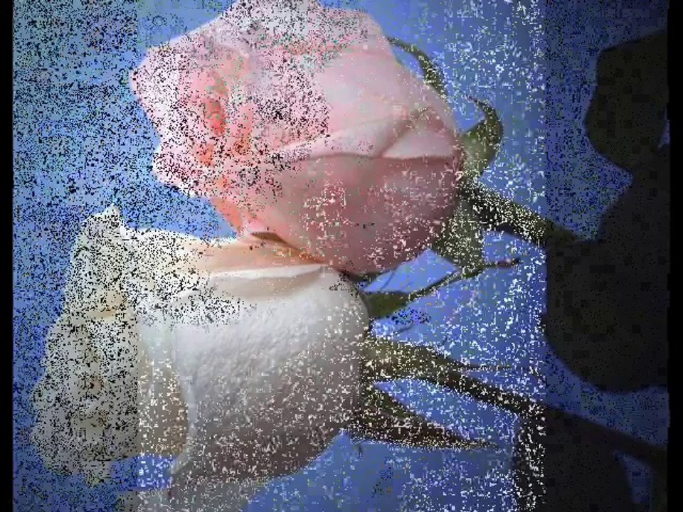 şiir KOY MEZARINA söz C.CEYLAN YILMAZ seslendirme FARUK BİLGE