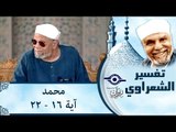 الشيخ الشعراوي: تفسير سورة محمد، (آية ١٦-٢٢)