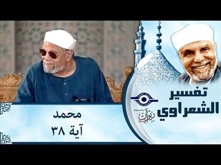 الشيخ الشعراوي: تفسير سورة محمد، (آية ٣٨)