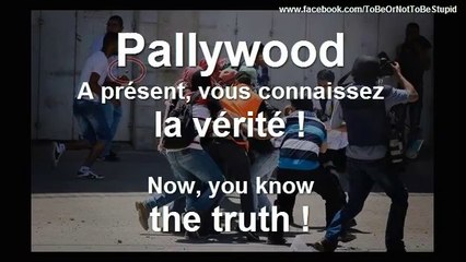 PALLYWOOD : nouvelle vidéo