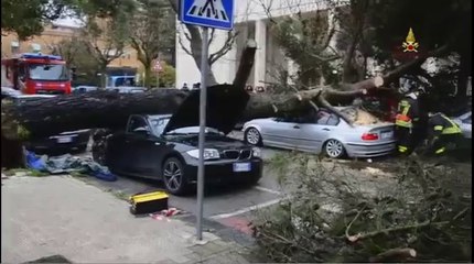 Enna - Interventi causati dal forte vento e dalla pioggia 02 (14.03.13)