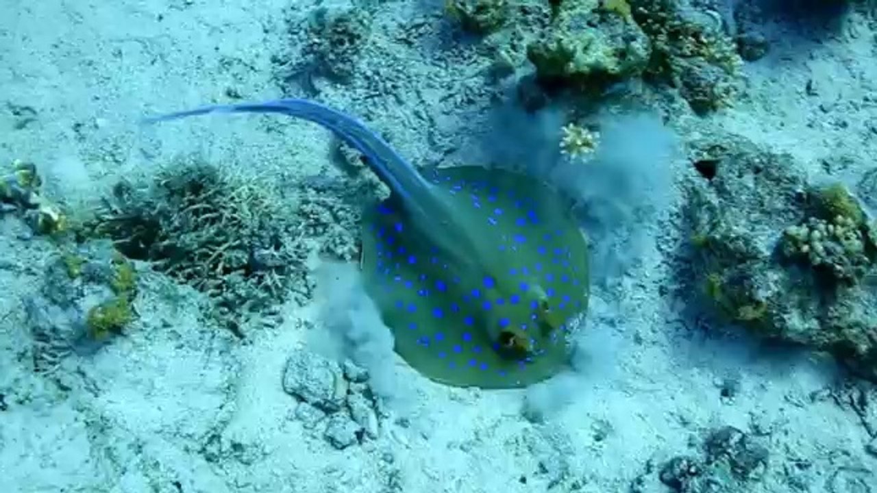 Rahat Bir Nefes (II. Kısa Metrajlı Spot Film Yarışması Jüri Özel Ödülü)