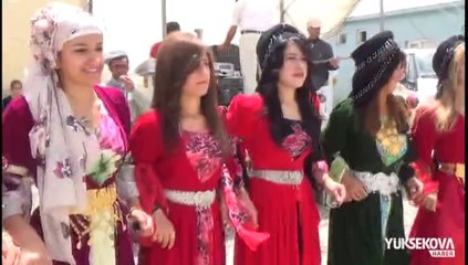 Yüksekova Düğünleri (1 Haziran 2014)