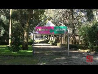 Napoli - La situazione allo zoo Edenlandia 2 (21.03.13)