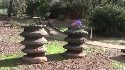 Cockatoo Sanctuary - Churchman Brook Dam, Western Australia