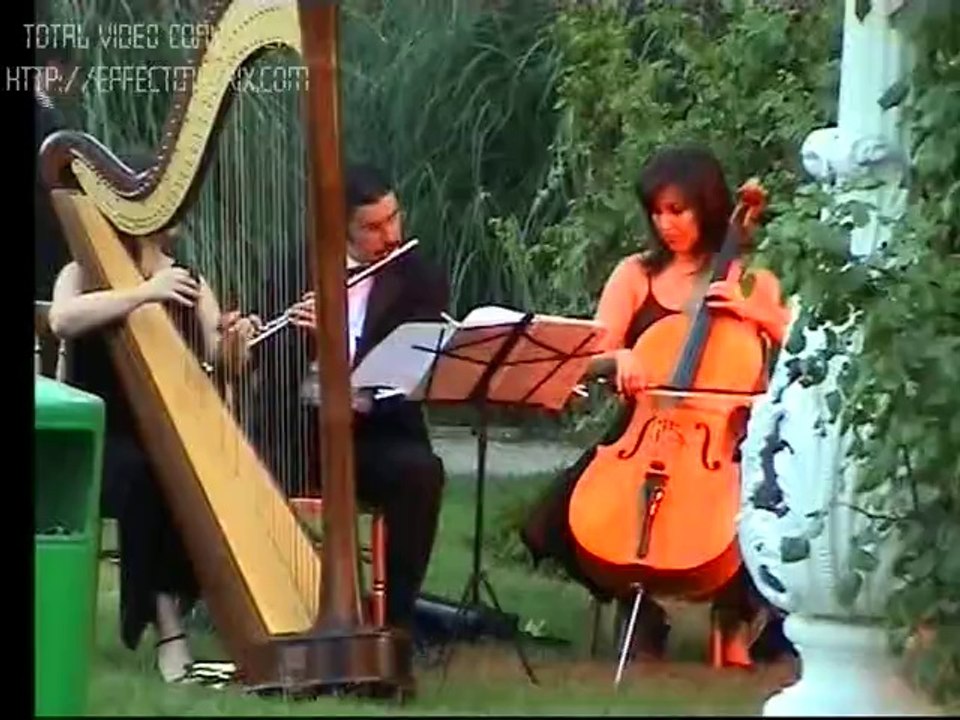 Raten organizasyonlarından biri