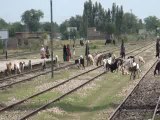 خوشاب: ریل کے بغیر ریلوے اسٹیشن