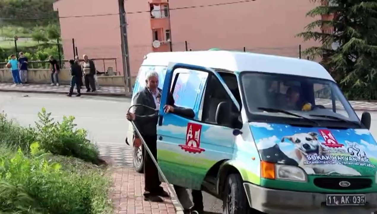 KÖPEK YENİ