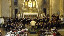 Ave Verum par l'Orchestre d'Harmonie de Nissan 1 Juin 2014 Cazouls lez Bèziers