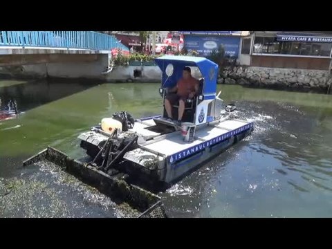 Silivri Sahili yosunlardan temizleniyor