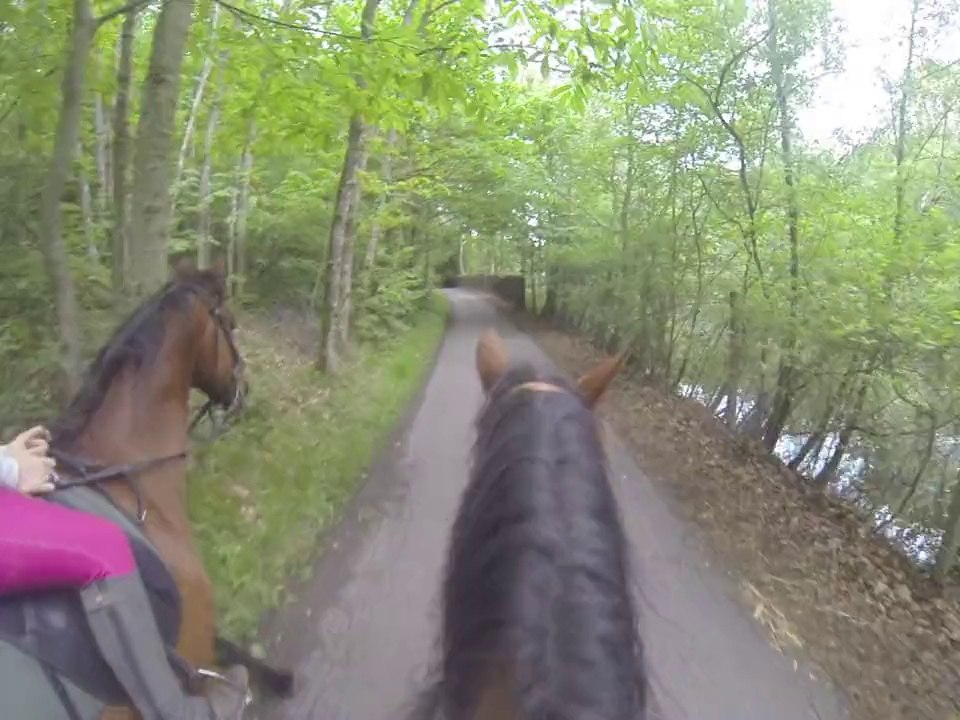 25.05.2014.c.balade