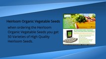 Beware of GMO Seeds – Get Organic Non GMO Heirloom Seeds
