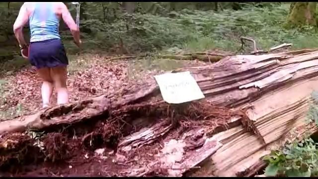 TRAIL DES FOUS 2014 - St Berthevin-les-Laval (53 .avec MARIO ET SON PETIT VELO