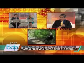 Analista aseguró que no hay condiciones para erradicar narcotráfico en el Perú