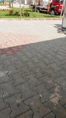 ankara asansör kiralama.05378106382