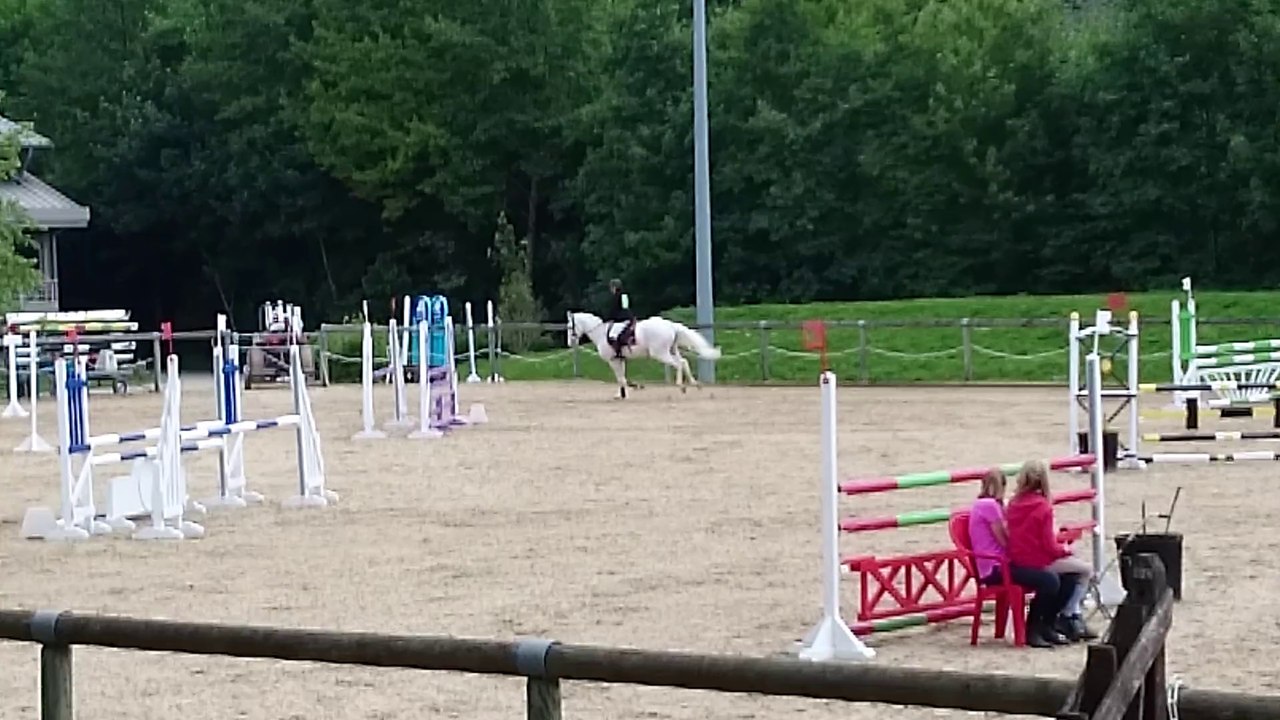 SNOWMAN CSO JABLINES