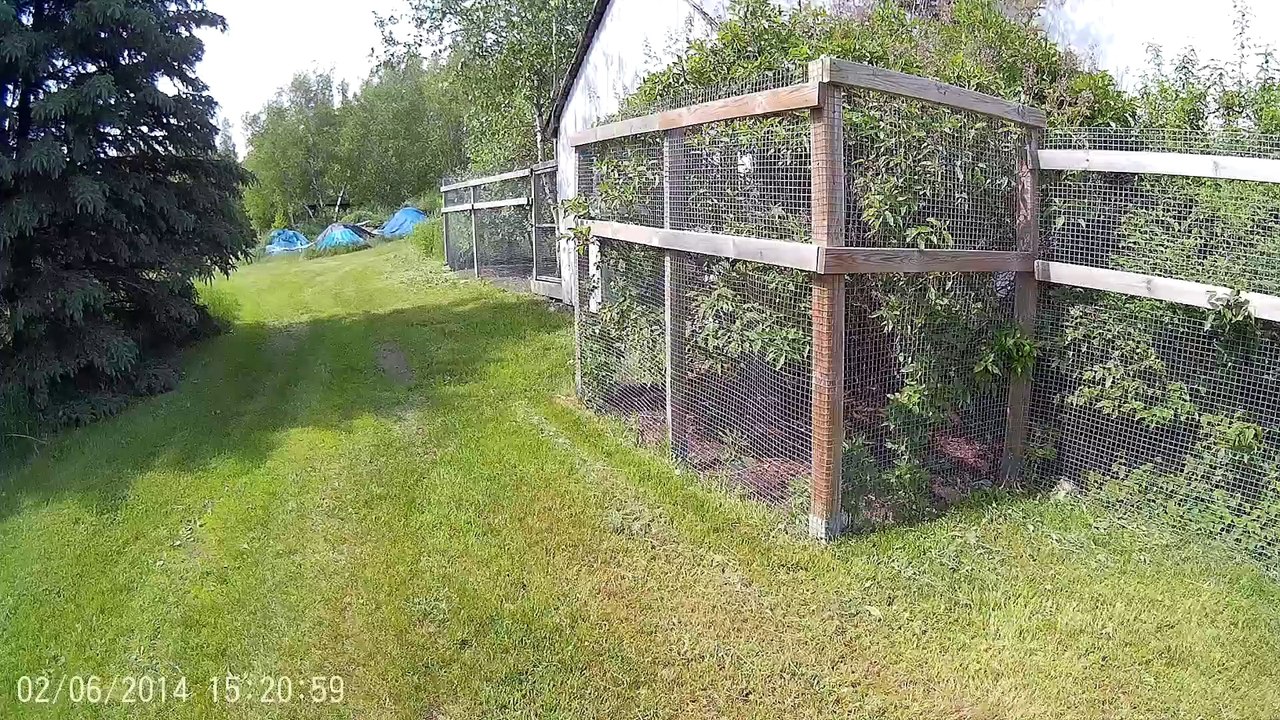 Belle journée pour planter nos légumes et se faire bouffer par les moustiques...31°