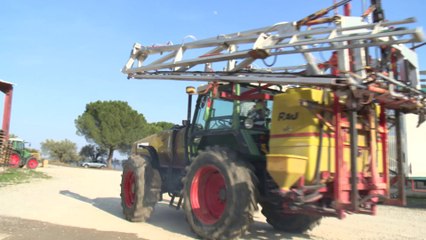 Présentation du GAEC Les oliviers