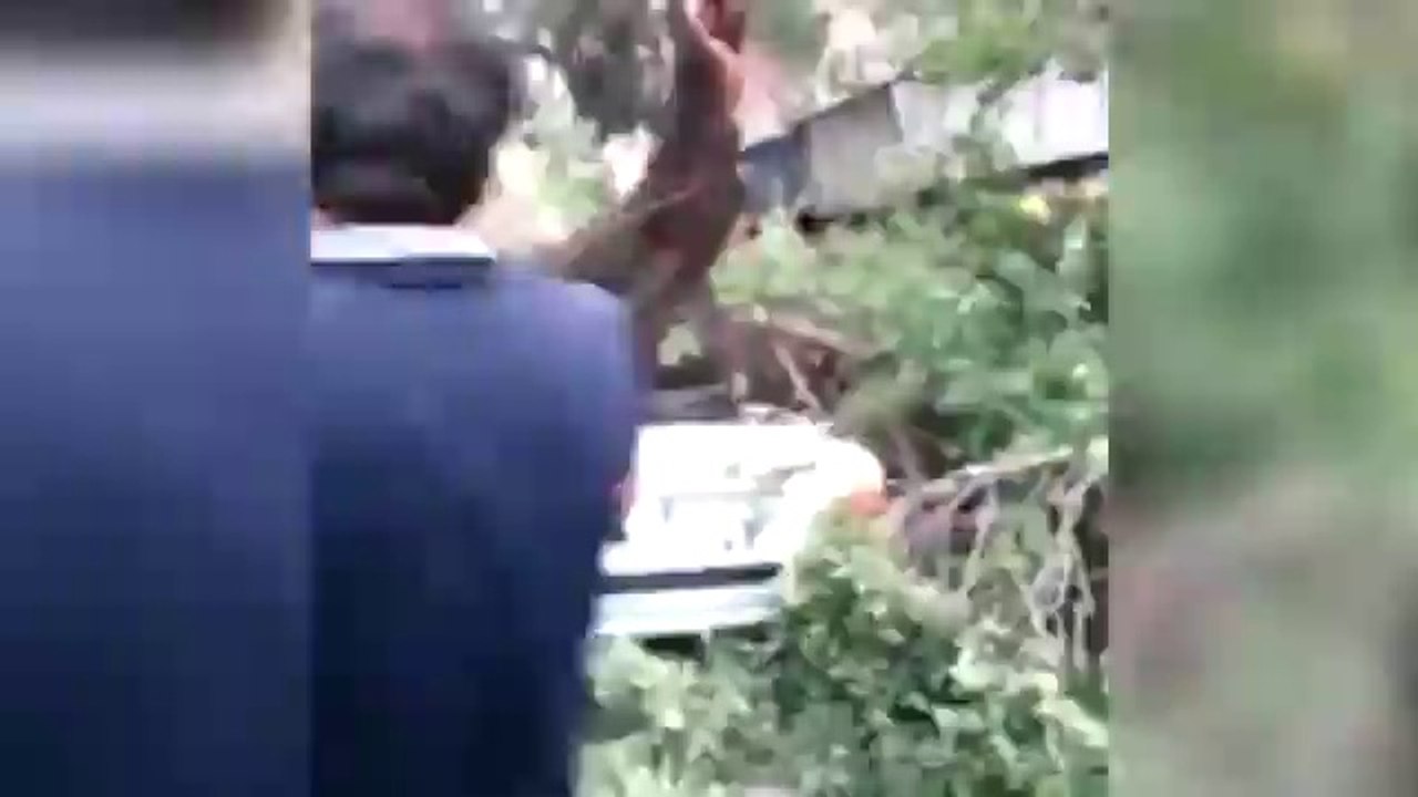 Massive dust storm engulfs Tehran