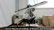This Robotic Raptor Can Outpace Usain Bolt
