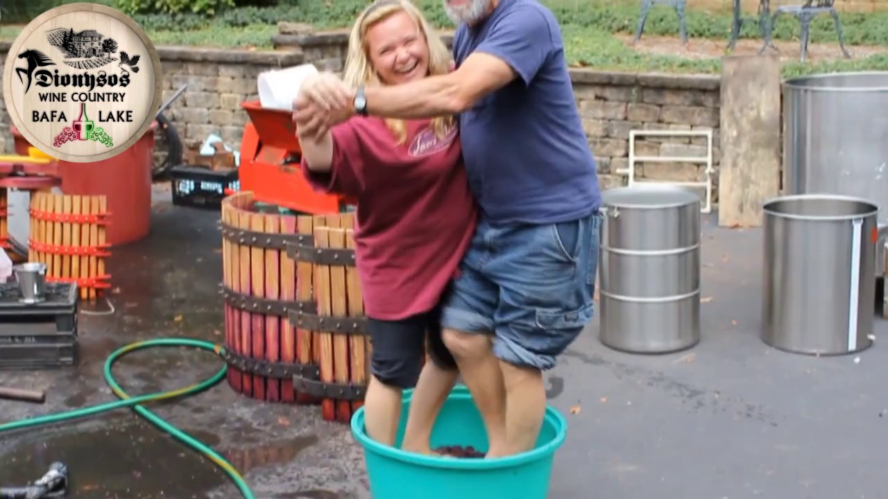 Dionysos - Wine Country