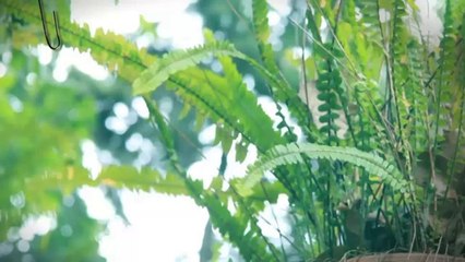 TV3 - 33 recomana - Judit Neddermann. Espai Jove. Alella