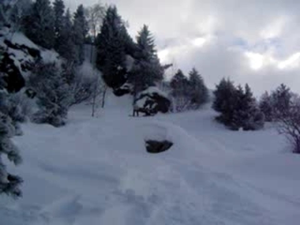 Bosse Morte 10_02_2006