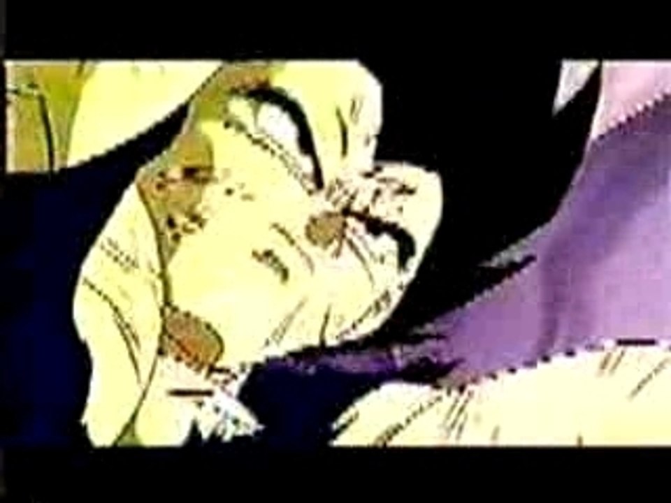 DBZ - Kung Fu Fighting