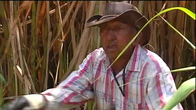 Retraites agricoles : la colère des agriculteurs retraités