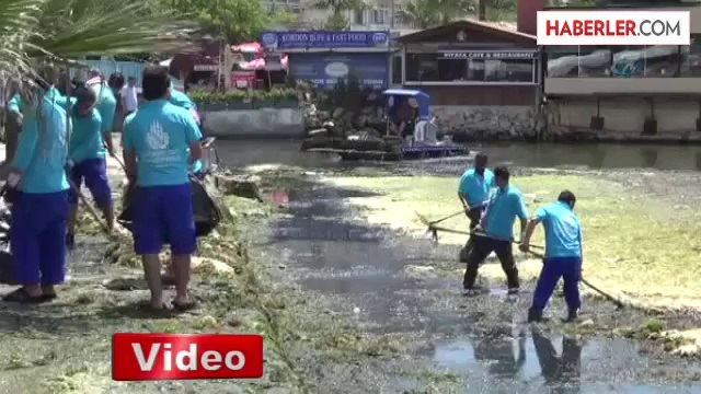 Silivri Sahili Yosunlardan Temizleniyor