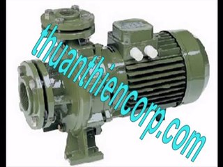 Tel \0983480880\ Máy bơm bù áp Saer CWM201 A/5, bơm trục đứng Saer MK40R