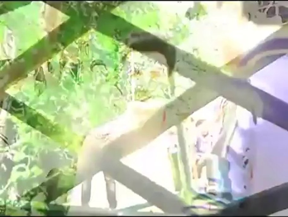 Bani : Sarpanch creates problems for Parmeet - IANS India Videos