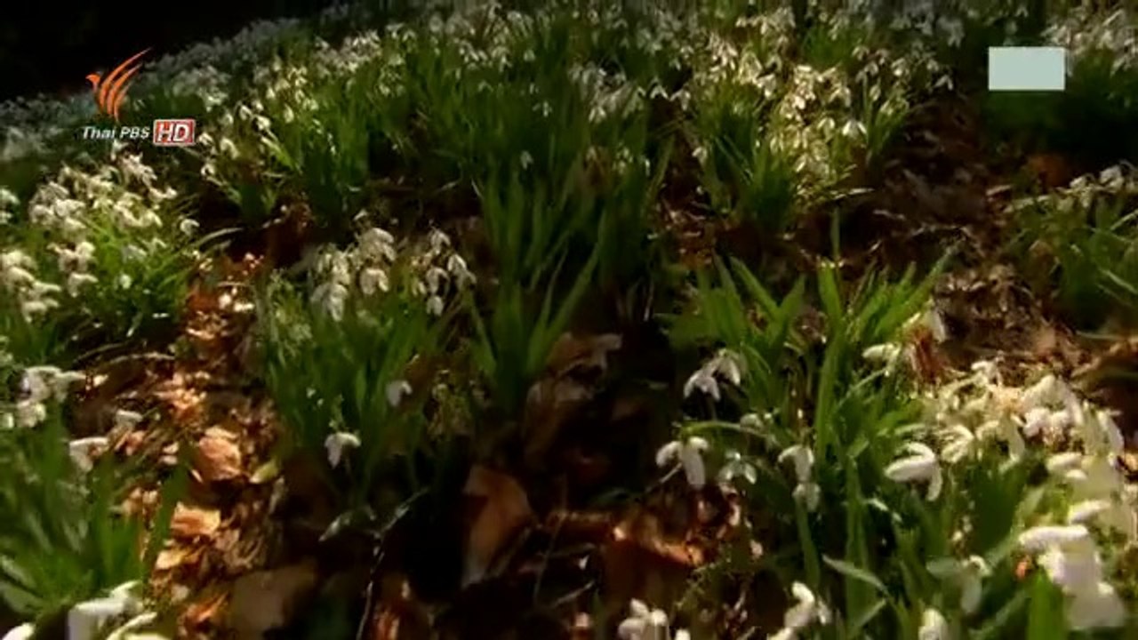 แดนแห่งธรรมชาติสุดขั้ว - ฤดูหนาว 2Jun14