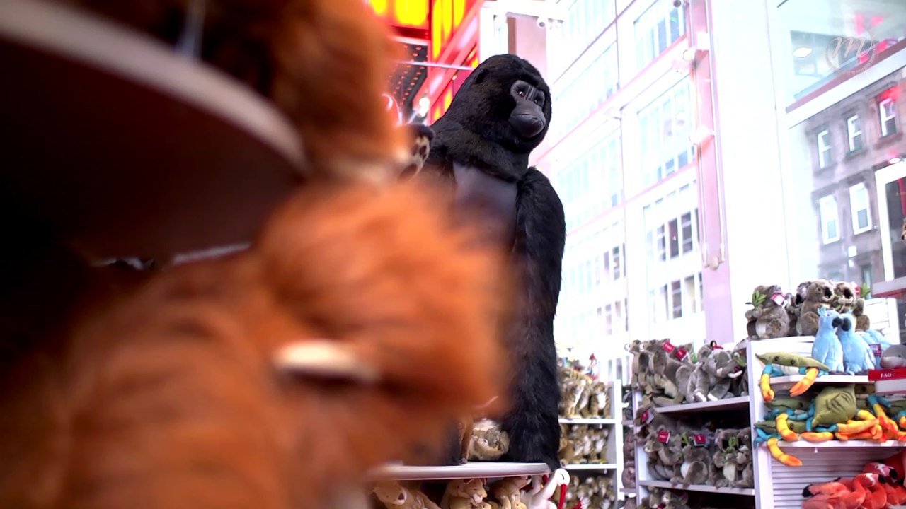 Les petits boulots de Robert Mapplethorpe