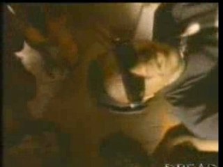 Masta Ace Inc - SlaughtaHouse