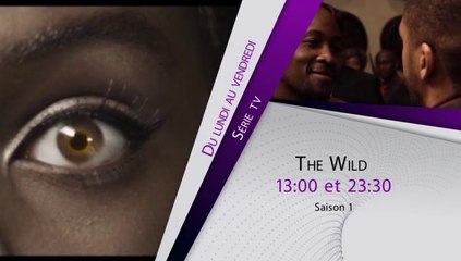 Bande annonce de la série THE WILD du lundi au vendredi à 13h et 23h30 sur telesud
