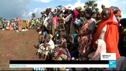 AFRICA NEWS - DRC/Congo Brazzaville crisis: Ministers meet to try ease tensions