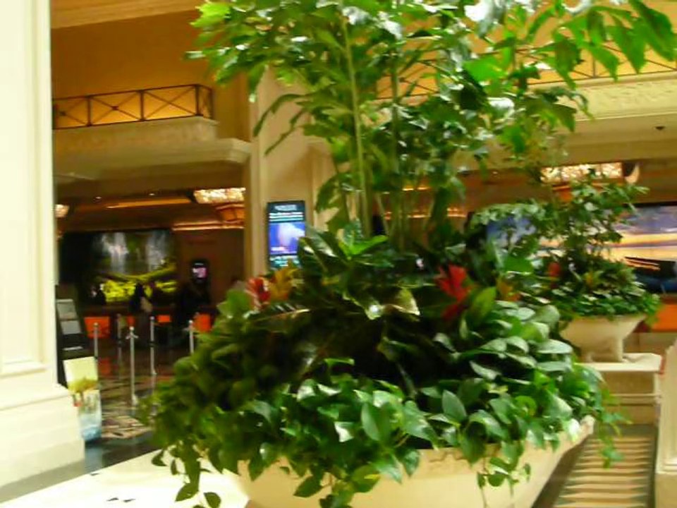 LUXOR 011