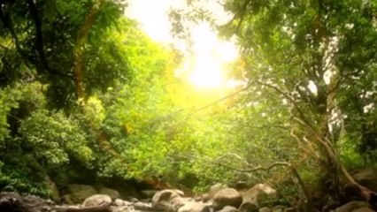 Abraham Hicks _ Success Music _ Prosperity _ Law of Attracti