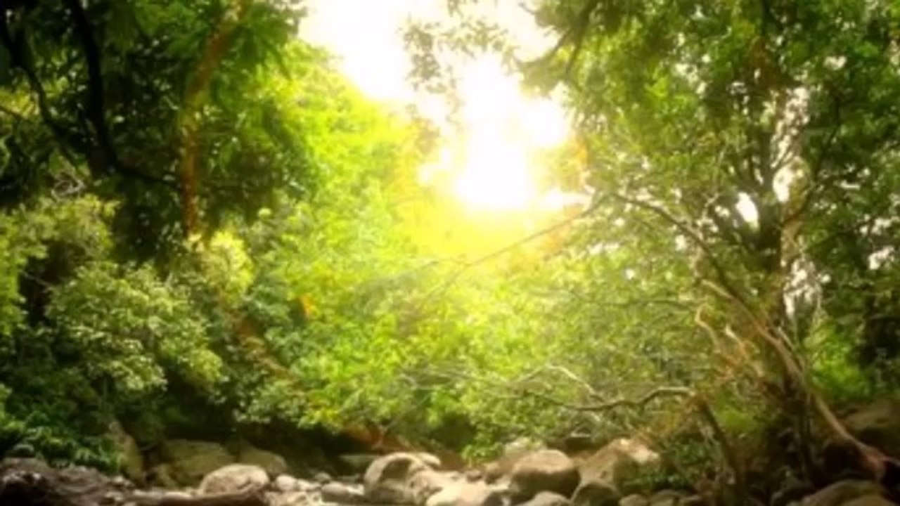 Abraham Hicks _ Success Music _ Prosperity _ Law of Attracti