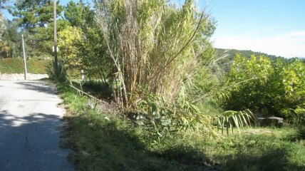 A vendre - terrain - Seillans (83440)