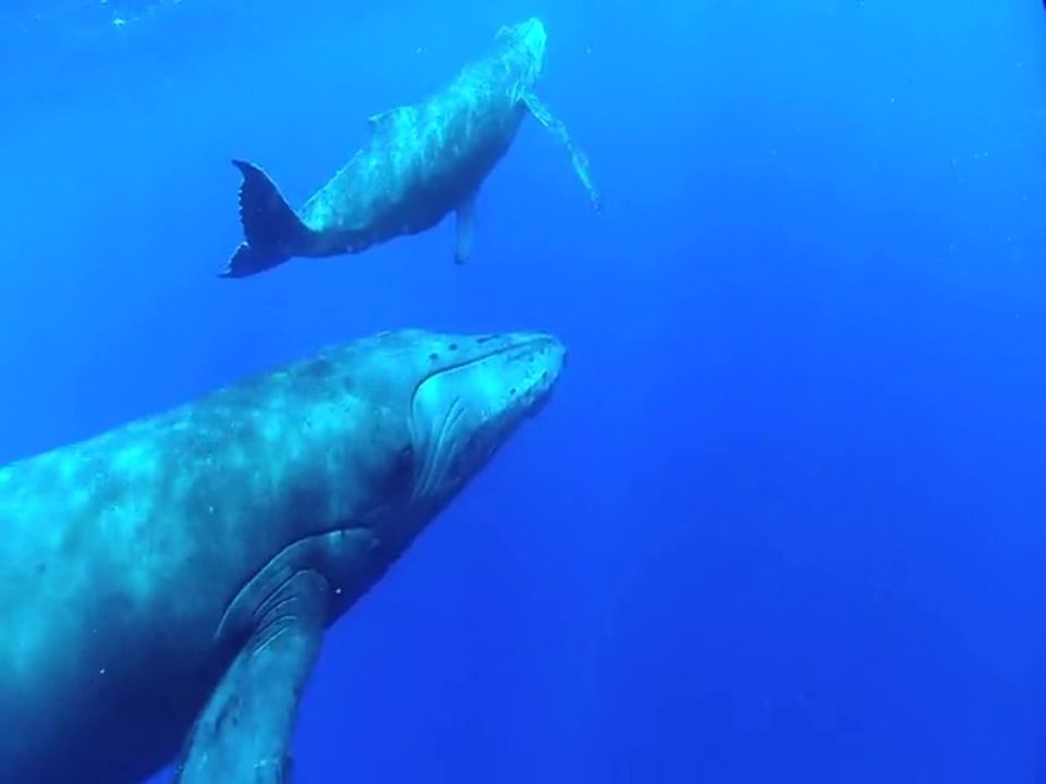 Émission n° 4 - Fête du tourisme 2014 Île de la Réunion