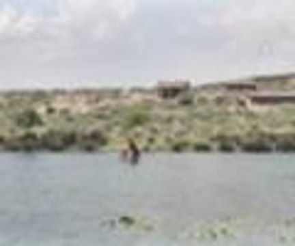 Issız adanın ıssız sakinleri