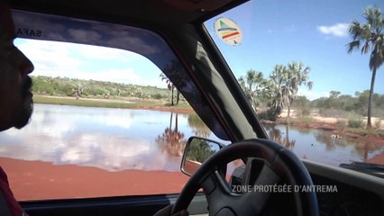 Spécial Madagascar-c'est pas du vent -teaser 3