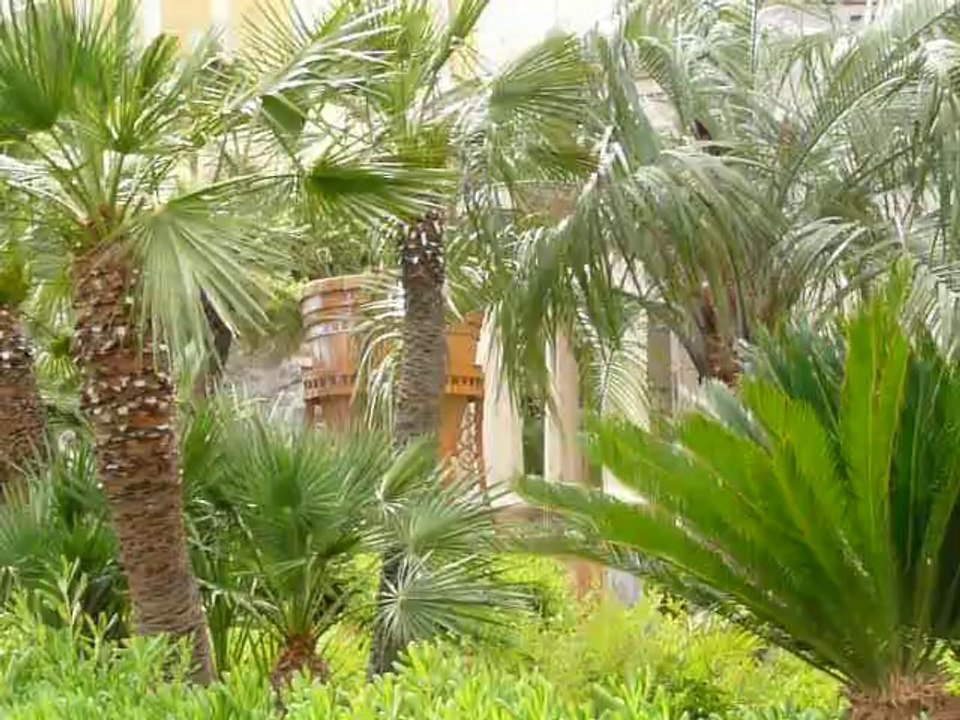 LUXOR 019