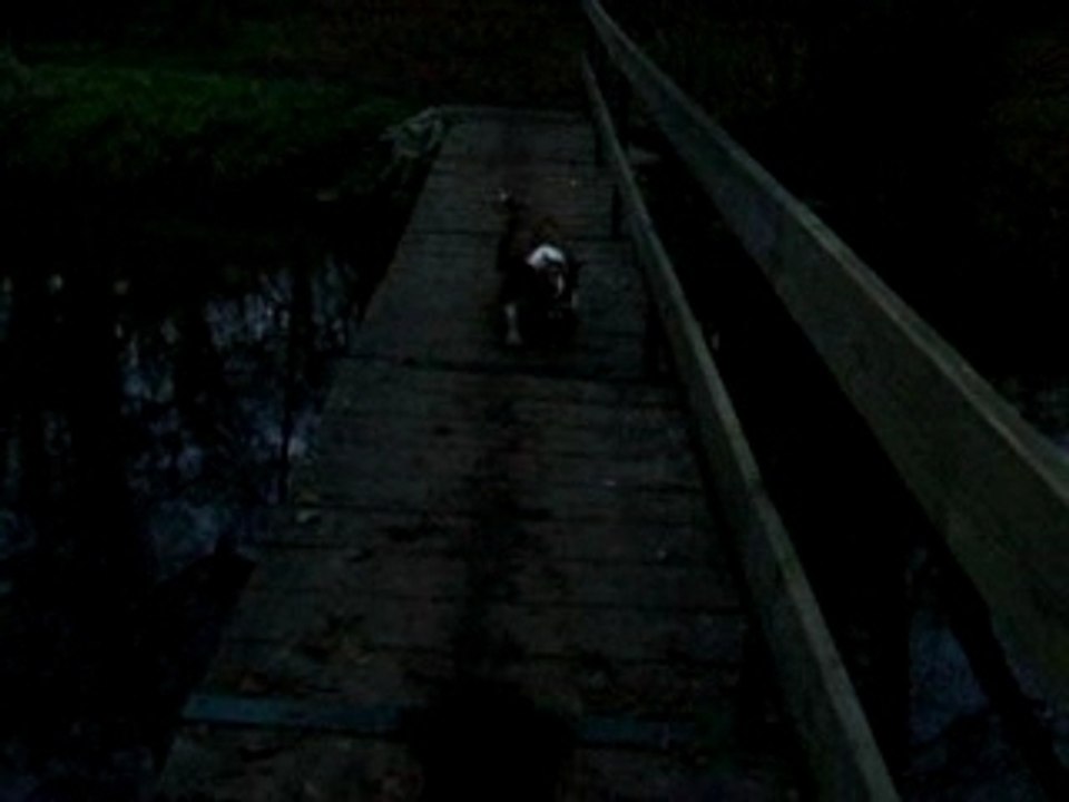 Buck sur le pont