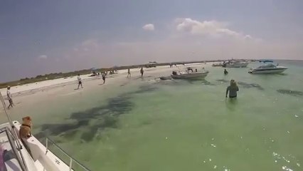 Les Lamentin en Floride