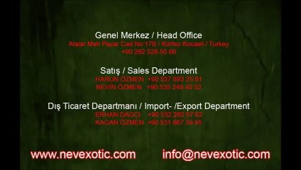 Nev Exotic (10)